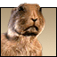 featofstrength's Avatar